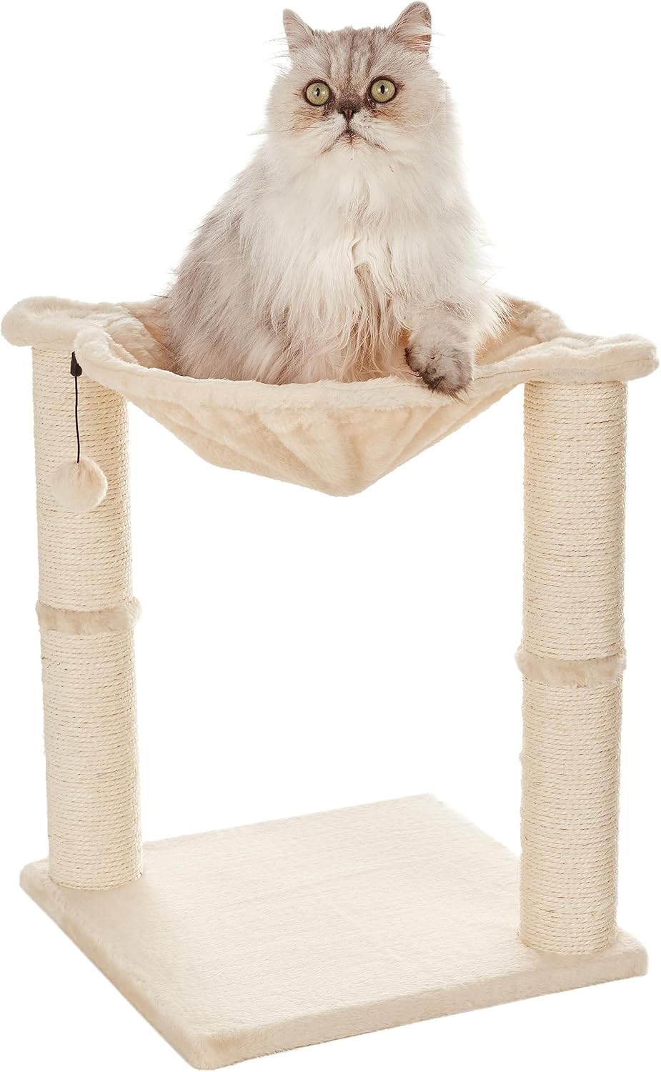 Chat à poils longs installé dans le hamac beige de l'arbre à chat Amazon Basics