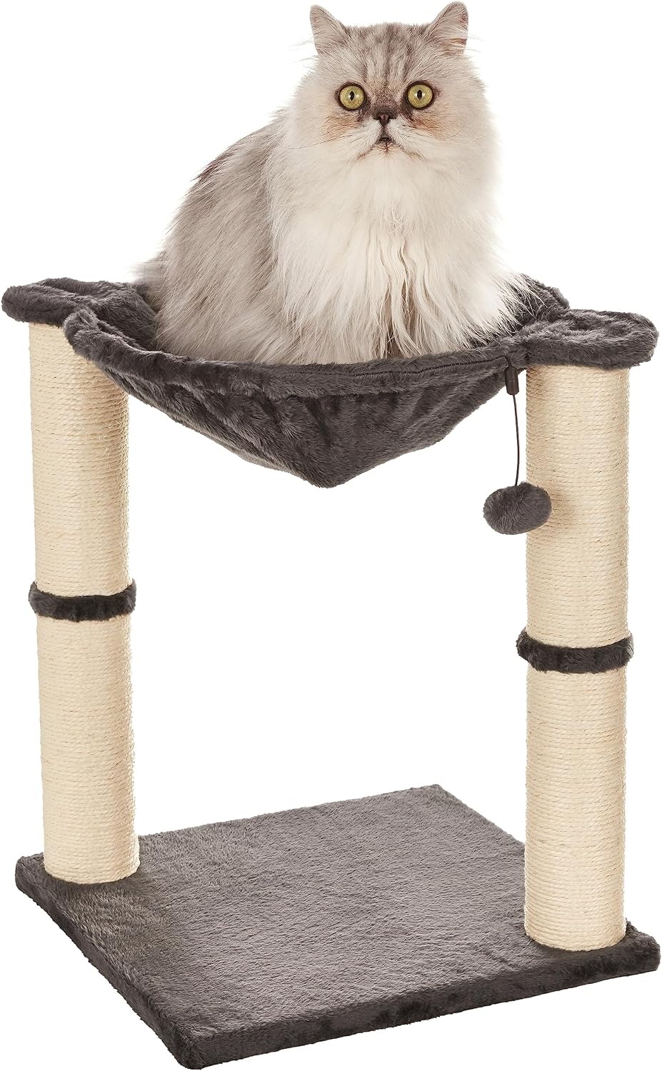 Chat à poil long installé dans le hamac gris de l'arbre à chat Amazon Basics