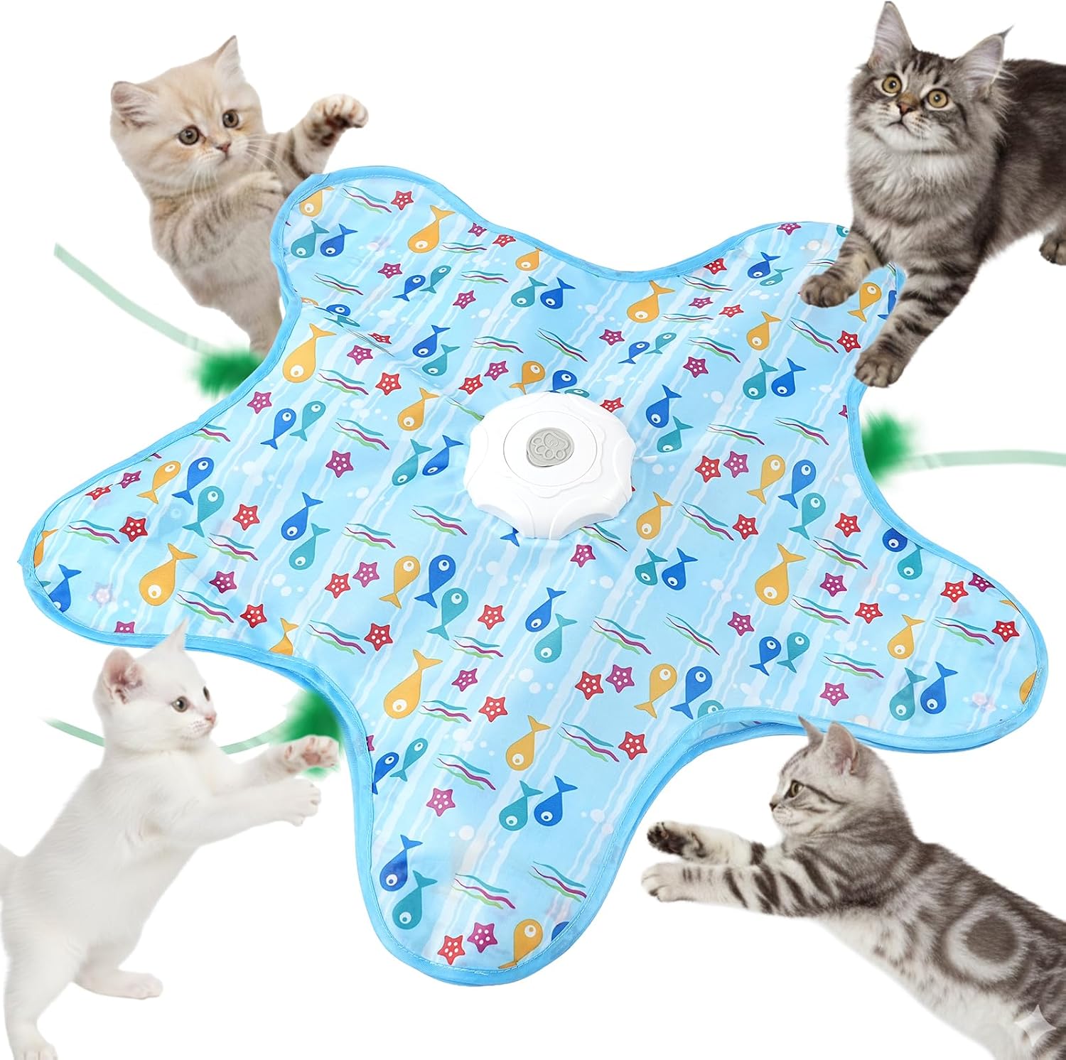 Chatons jouant avec le tapis interactif bleu en forme d'étoile AUYAO 5343692