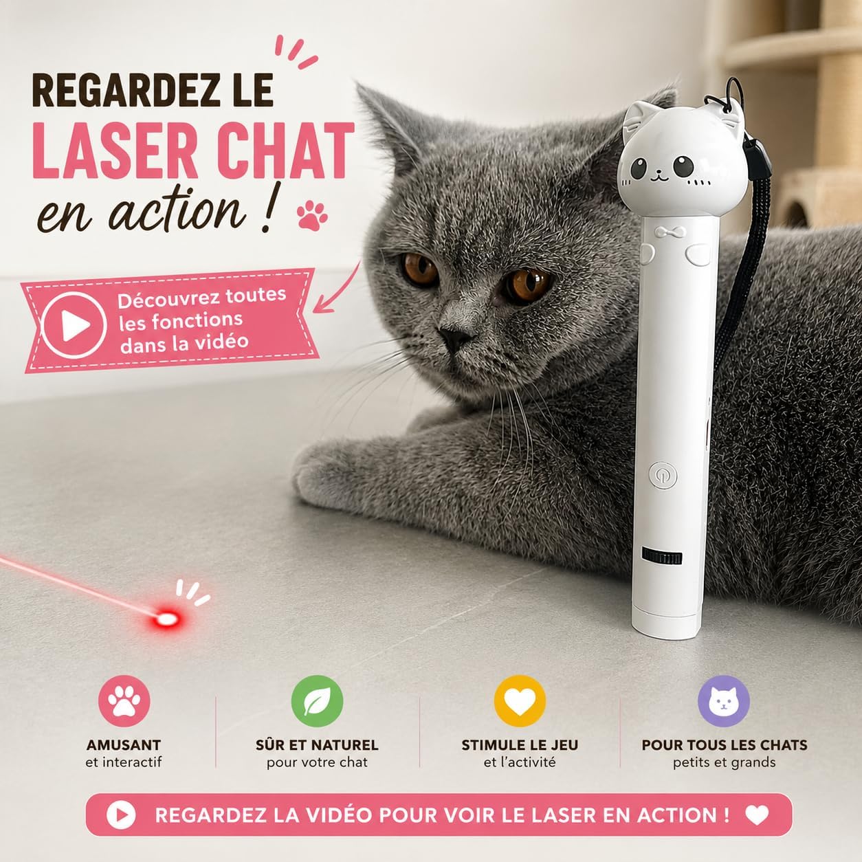 Chat adulte concentré sur le point rouge du laser Chatterie DL posé à côté de lui