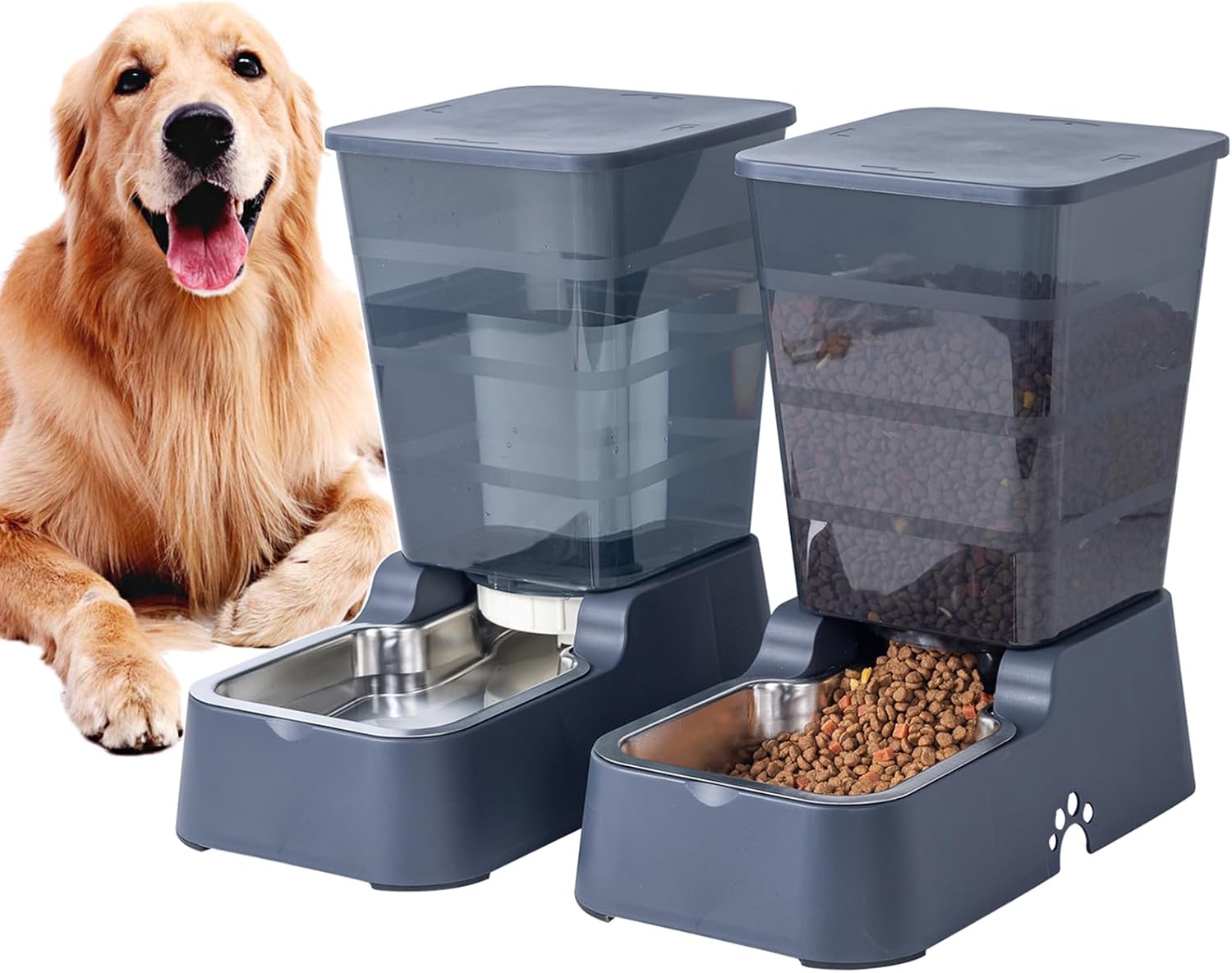 Duo de distributeurs d'eau et de croquettes Meijeegu de 5 litres, avec bols en acier inoxydable, à côté d'un chien de taille moyenne.