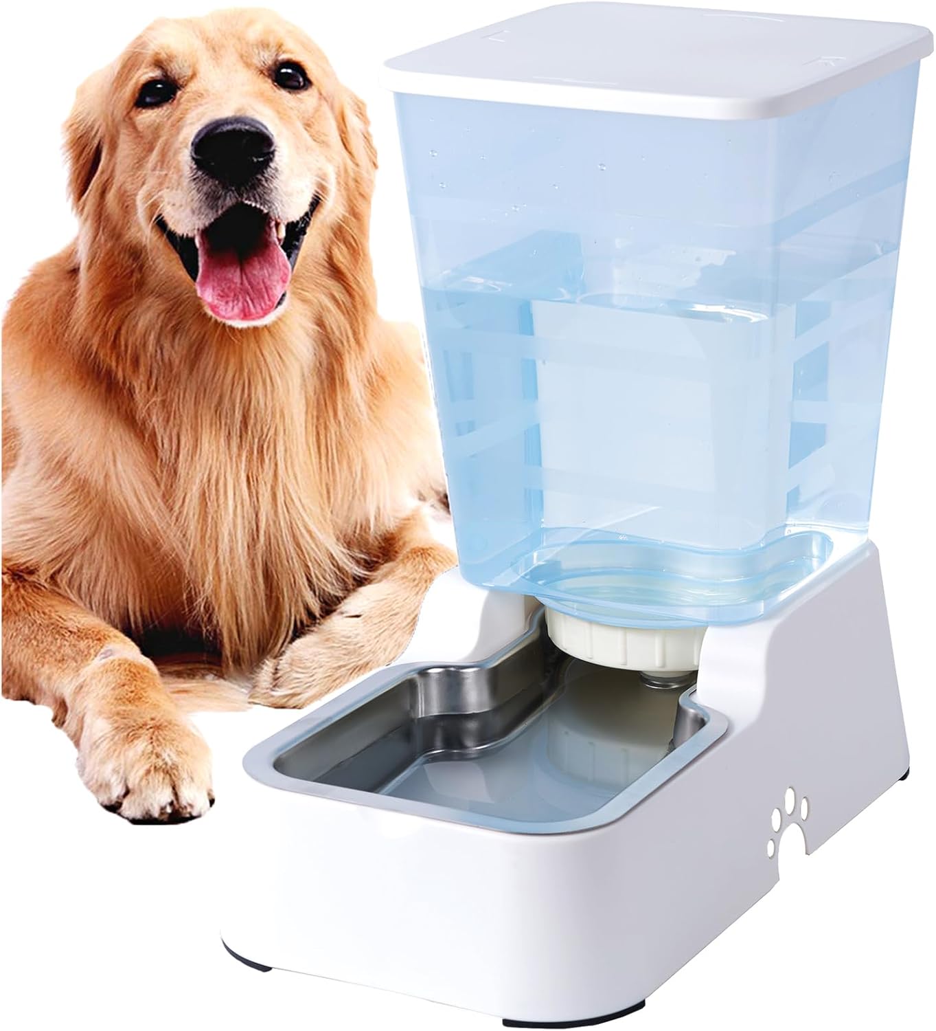 Vue détaillée du distributeur d'eau gravitaire avec son réservoir translucide et sa base en acier inoxydable.