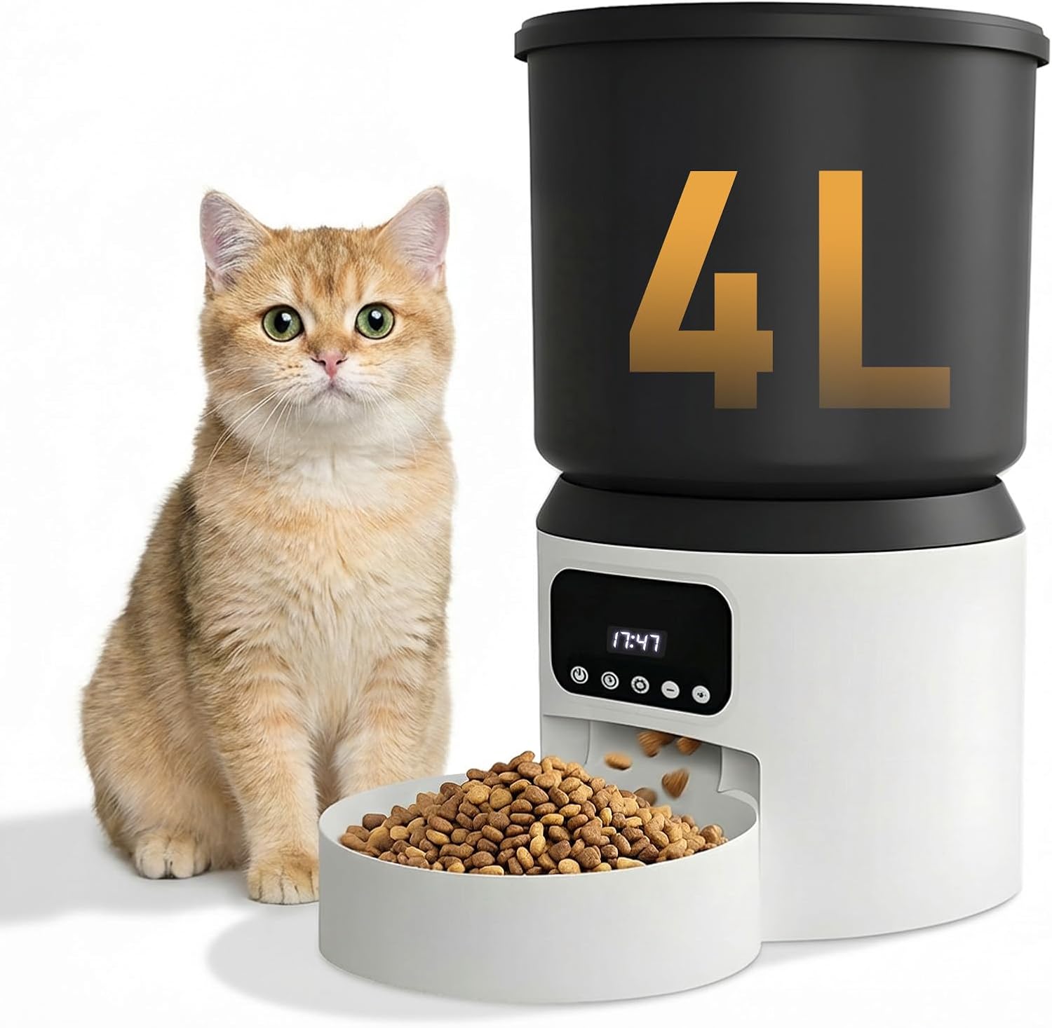 Un chat roux assis à côté du distributeur de croquettes automatique blanc et noir d'une capacité de 4 litres.