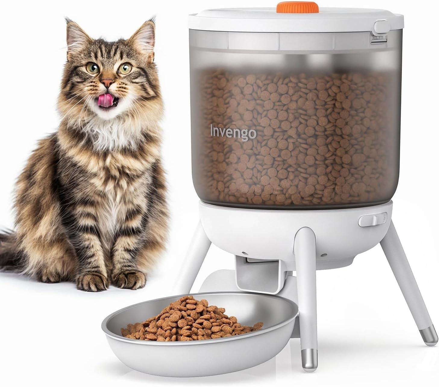 Chat tigré assis à côté du distributeur de croquettes automatique blanc Invengo avec trémie transparente de 3L remplie de croquettes et gamelle en métal.