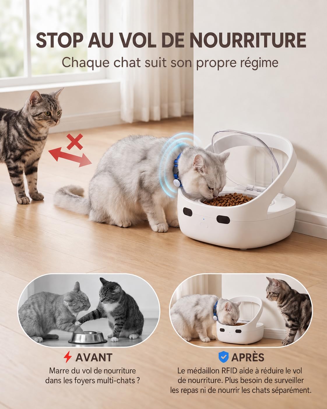 Avant et après l'utilisation du distributeur RFID montrant un chat protégé des vols de nourriture par un autre félin