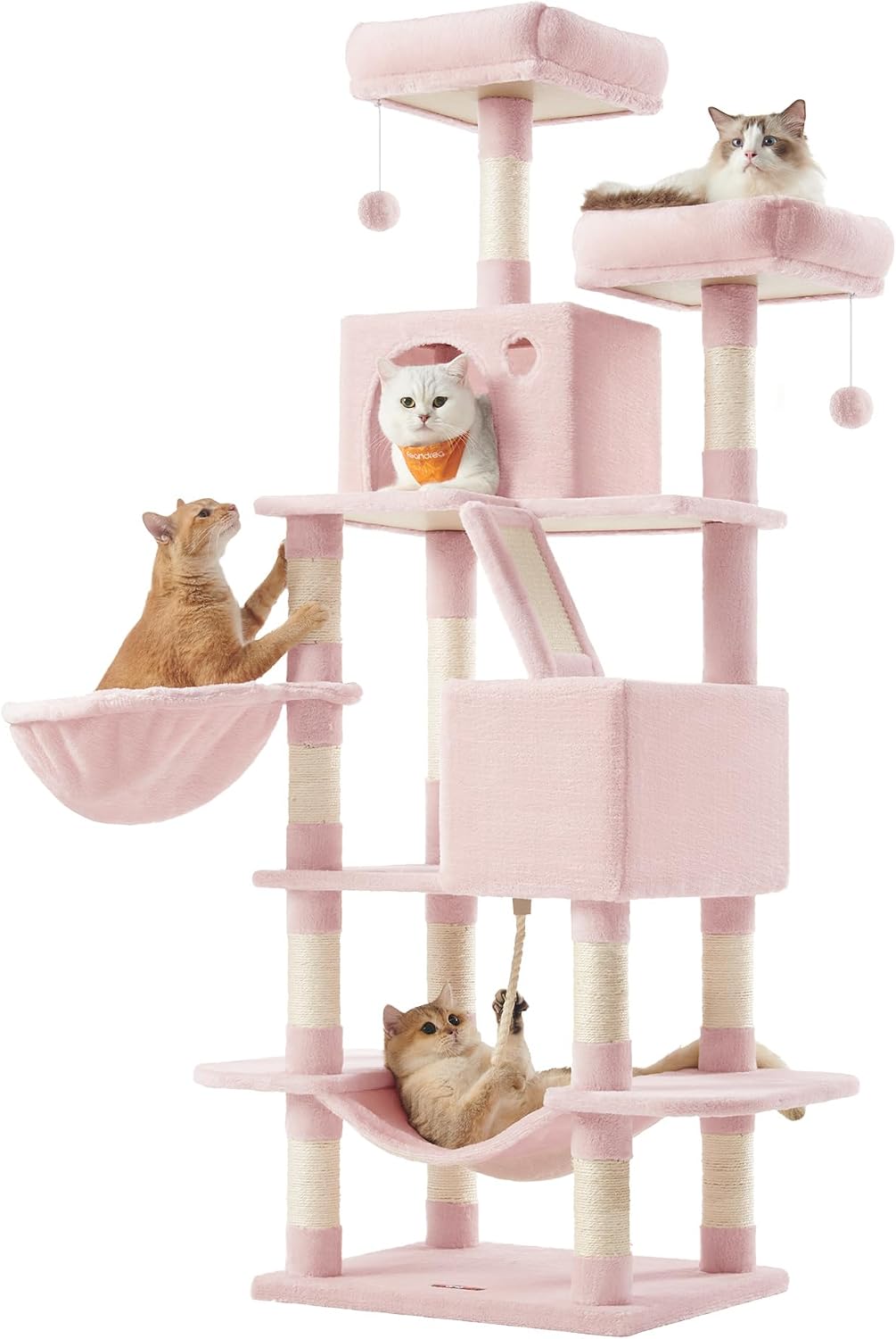 Arbre à chat Feandrea utilisé par plusieurs chats, montrant l'échelle et les zones de repos