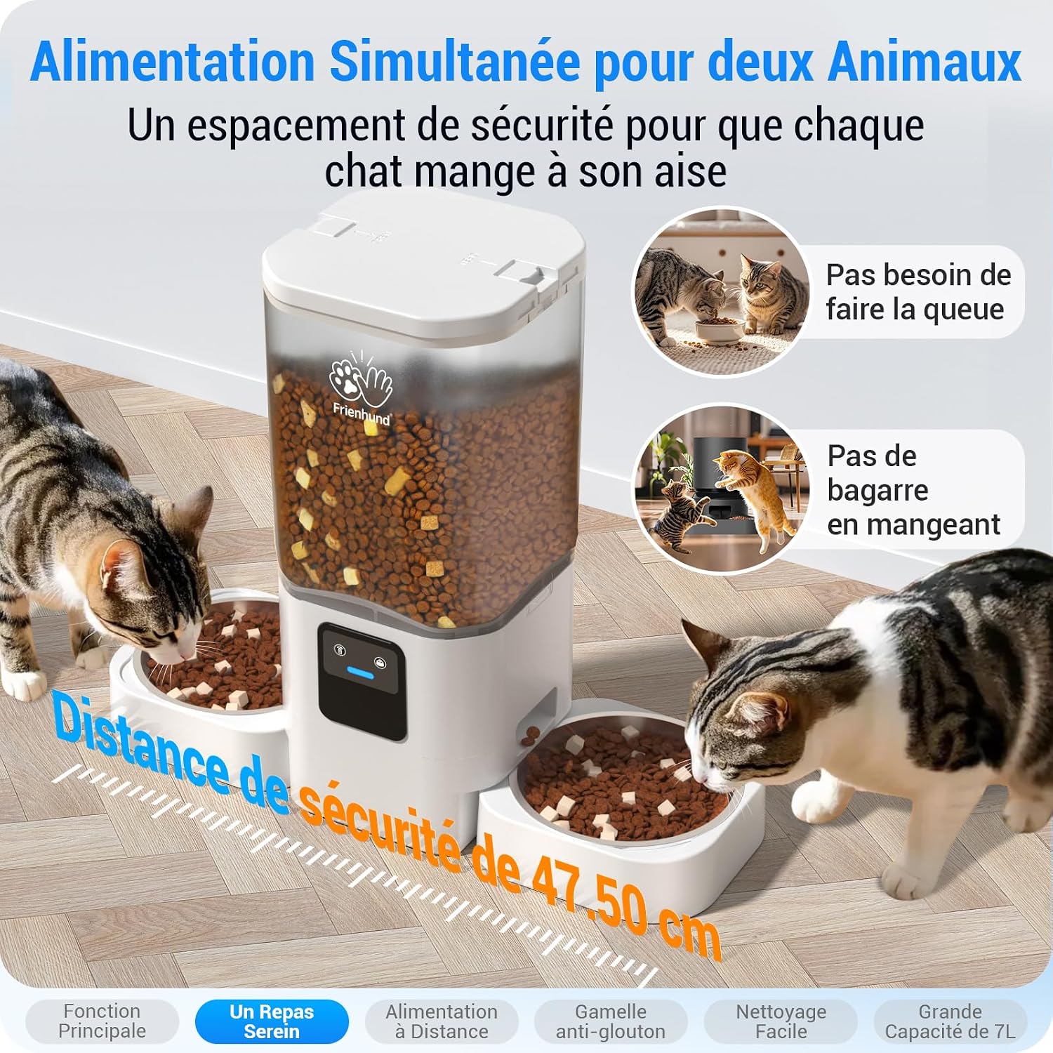 Deux chats mangeant sereinement de part et d'autre du distributeur Frienhund