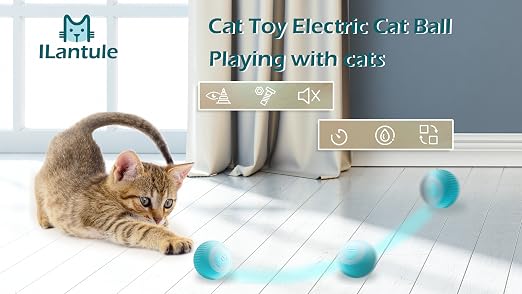 Chaton jouant sur un parquet avec la balle interactive ILantule bleue, montrant le mouvement automatisé.