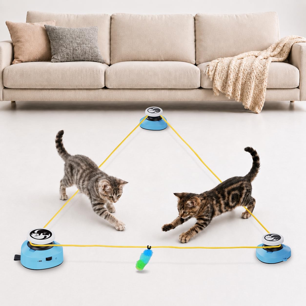 Deux chats jouant avec le circuit interactif configuré en triangle au milieu d'un salon.