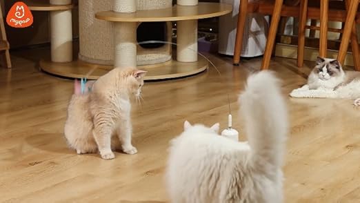 Deux chats observant le jouet Migipaws en pleine action sur un sol en parquet lisse