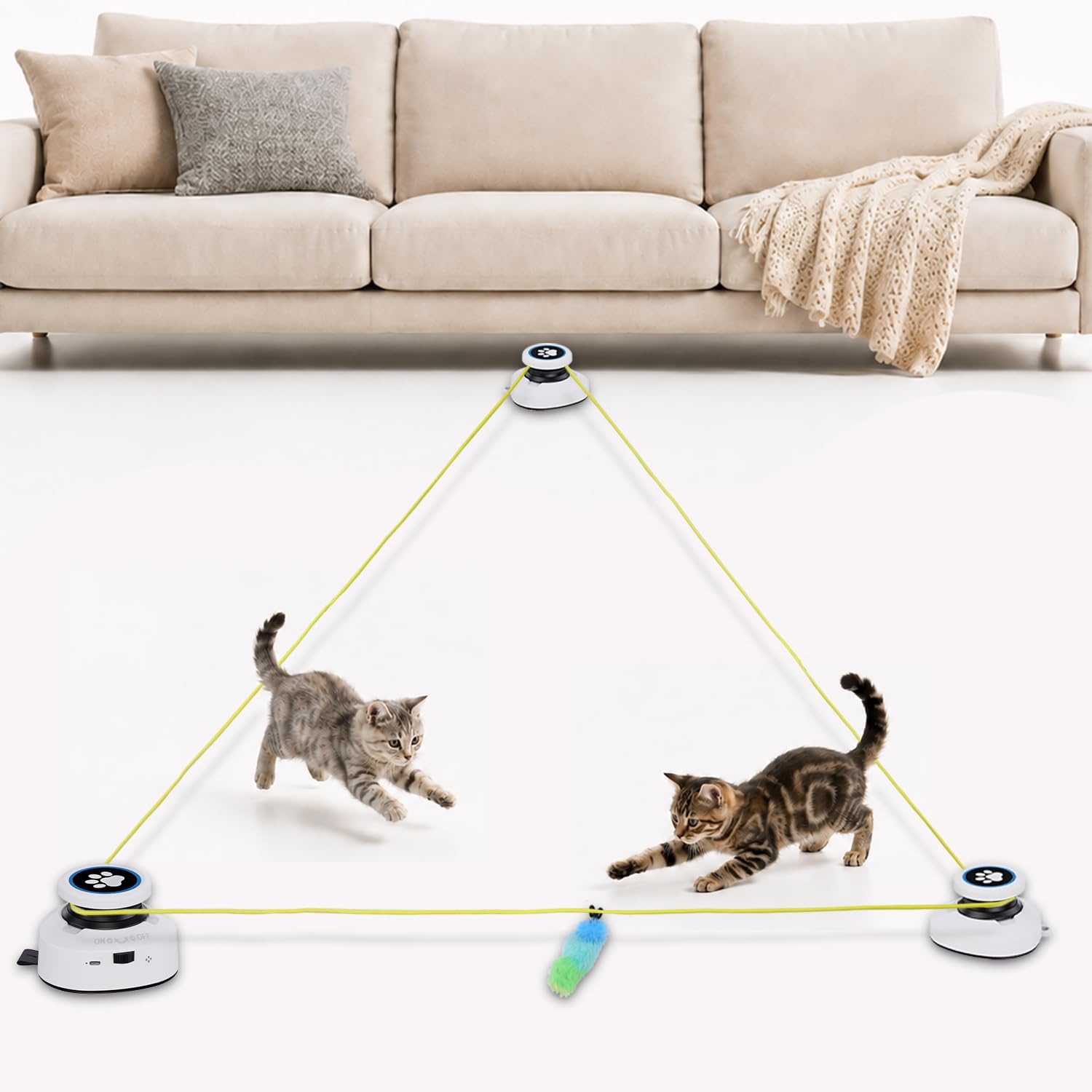 Deux chatons jouant avec le parcours triangulaire du jouet interactif Ultralent.