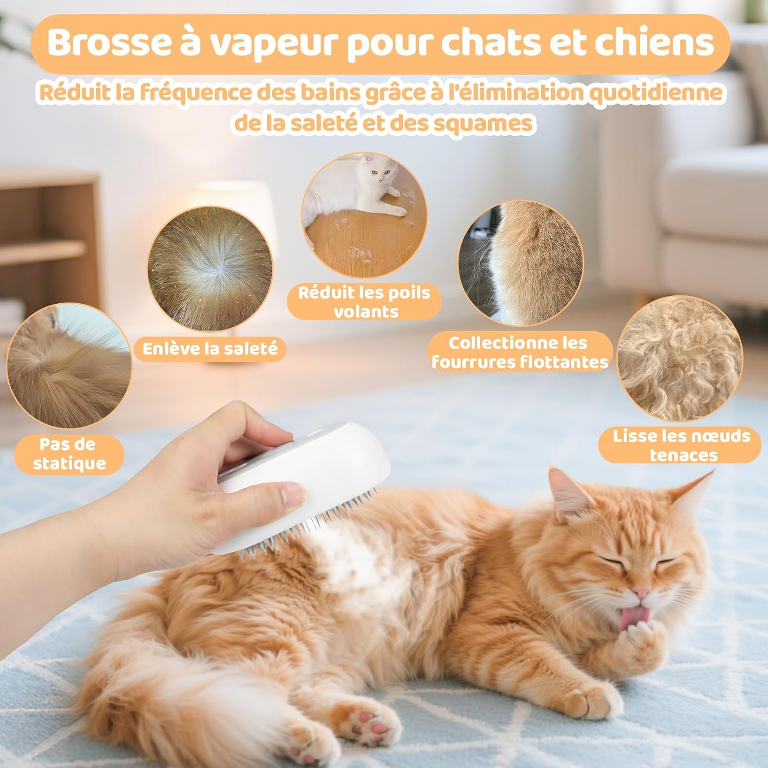 Utilisation de la brosse vapeur Nepfaivy sur un chat roux couché sur le dos