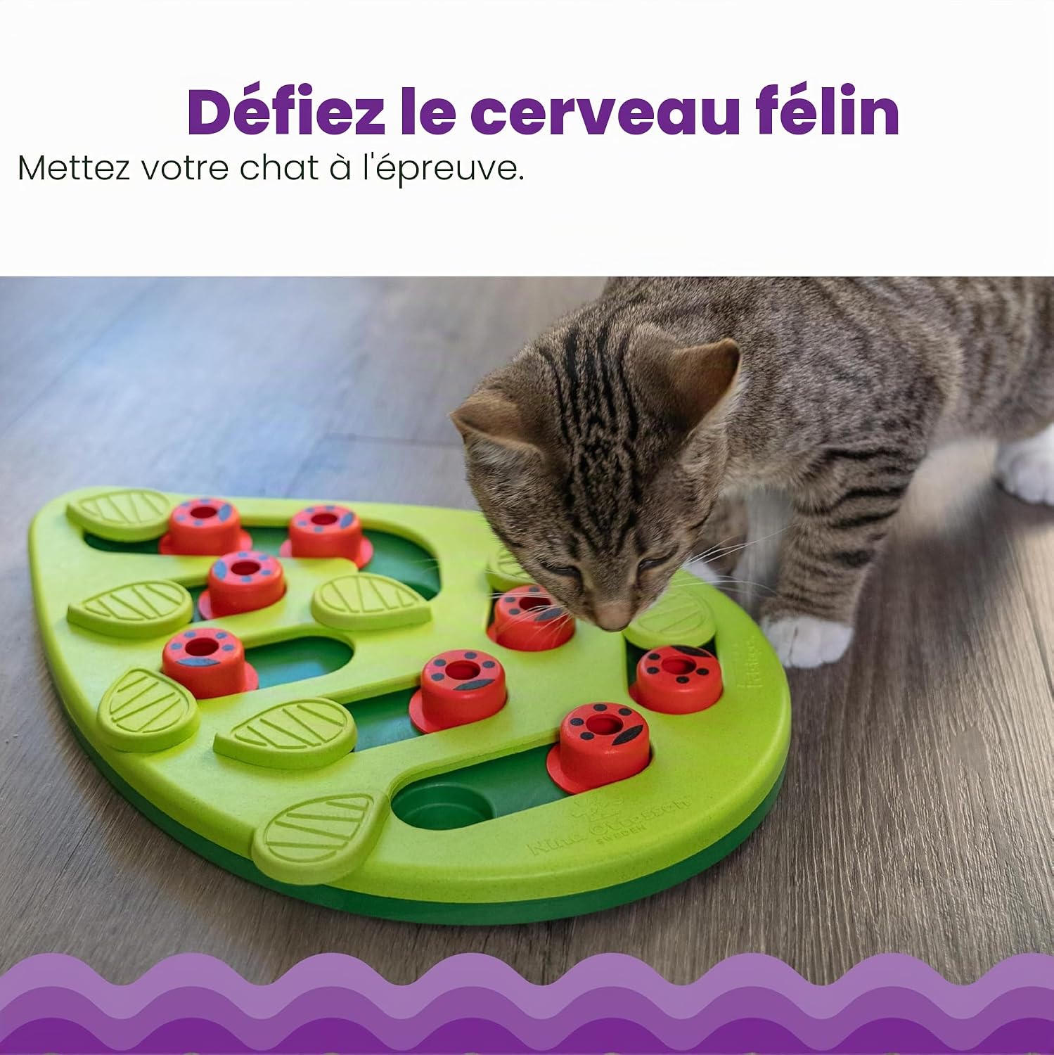 Chat utilisant le plateau interactif Catstages Buggin Out pour chercher ses croquettes