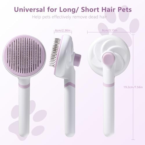 Schéma technique de la brosse pour chat Oderra montrant les dimensions, le profil des picots incurvés et le système de manche amovible