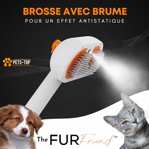 Brosse vapeur en fonctionnement projetant une fine brume antistatique