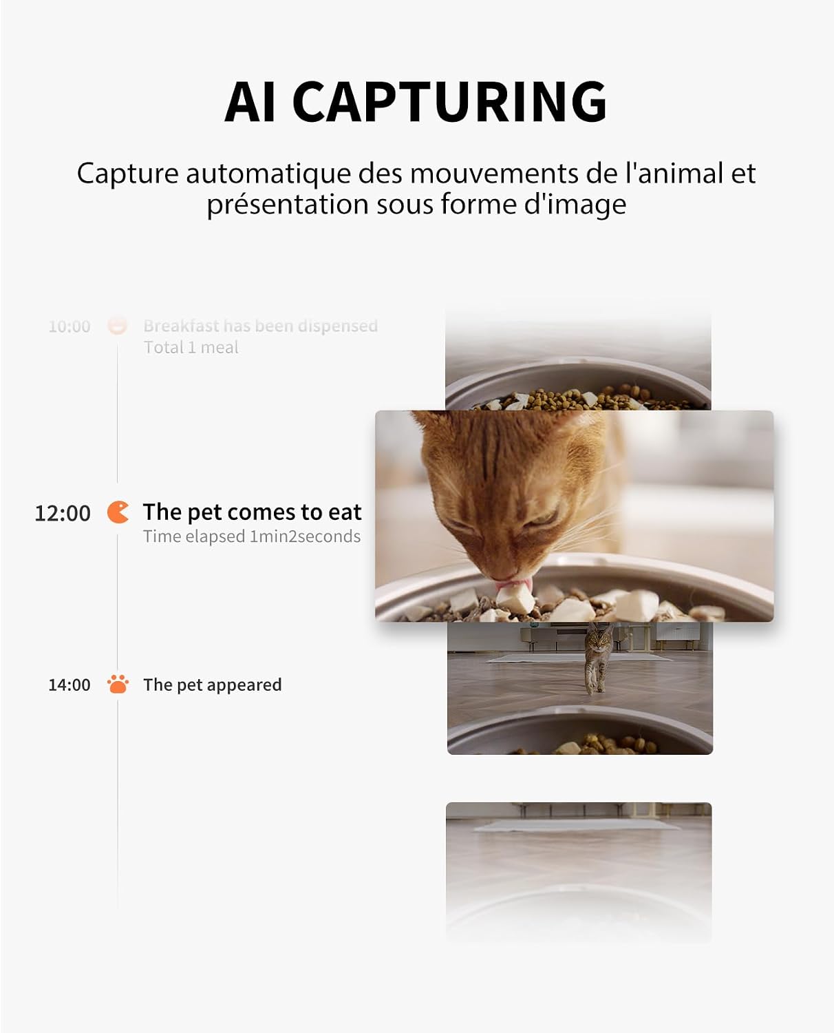 Interface de l'application sur smartphone montrant la vue grand angle de 140 degrés de la caméra du distributeur PETKIT