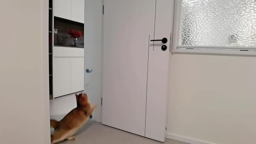 Chat roux sautant pour attraper la souris en peluche du jouet suspendu