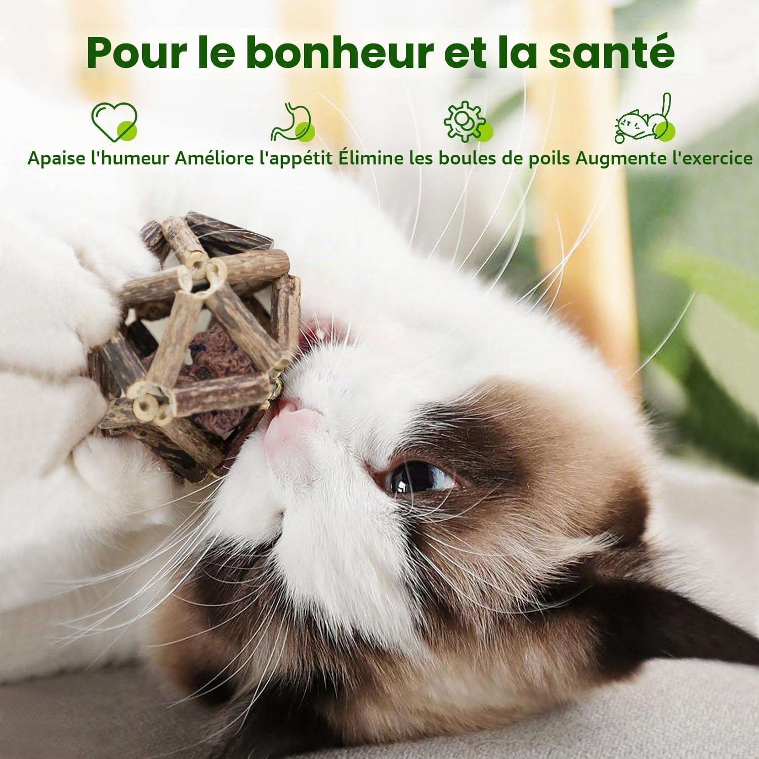 Détails des trois attractifs contenus dans les balles : fruit de galle, sachet d'herbe à chat et balle à grelot