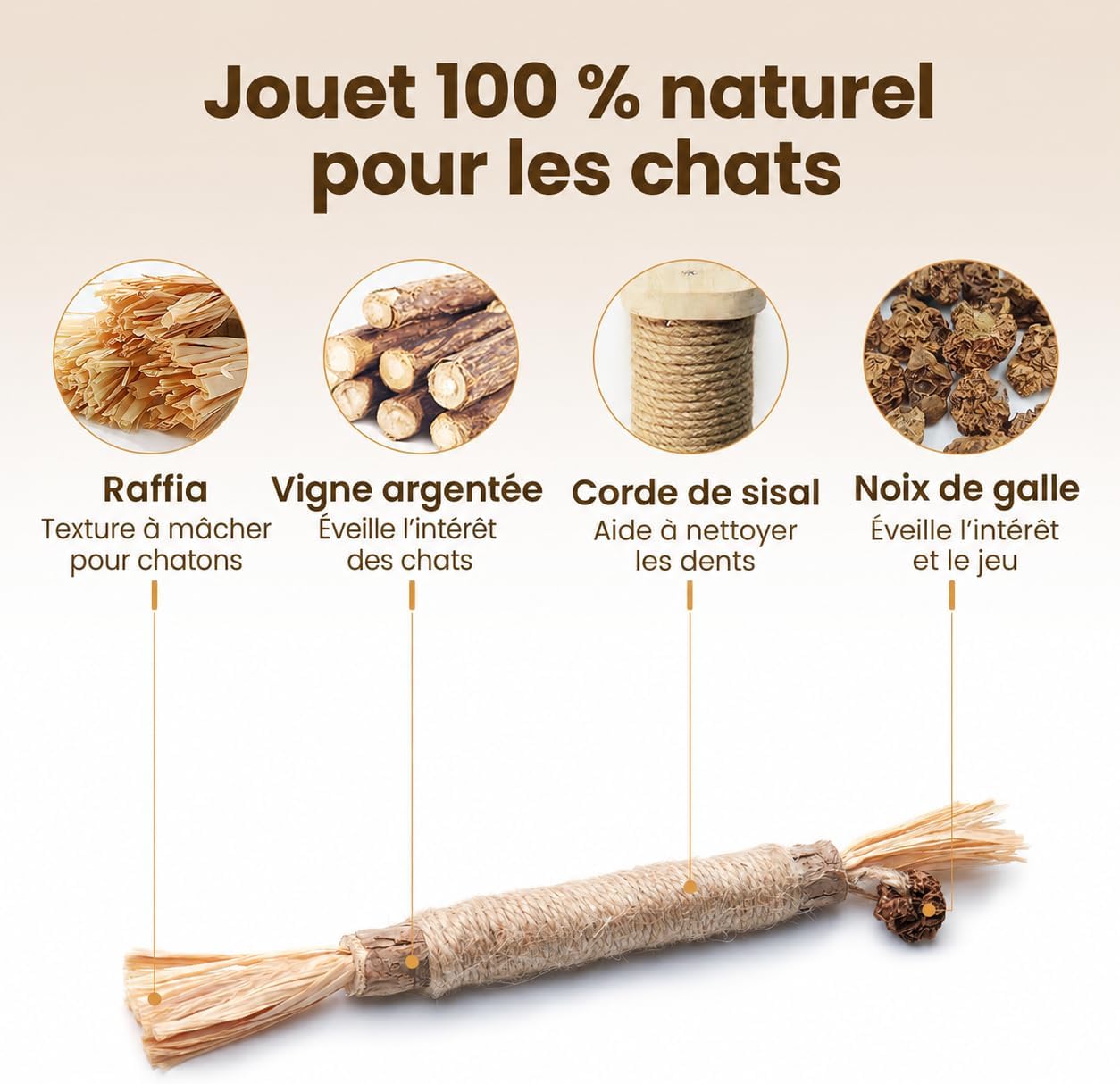 Lot de 6 bâtonnets à mâcher pour chat en vigne argentée et sisal