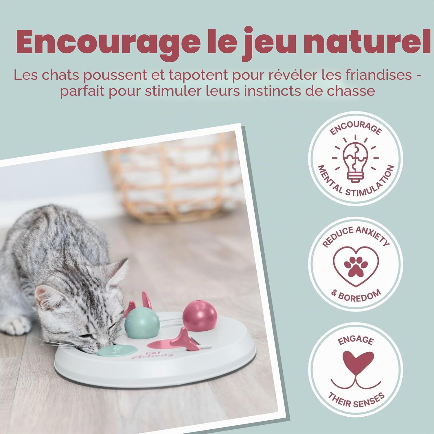 Un chat gris tigré utilisant le Flip Board de Trixie sur un sol en parquet